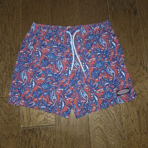 Vineyard Vines Men’s Small Blue Pink Seahorse Print Mesh Lined Swim Trunks